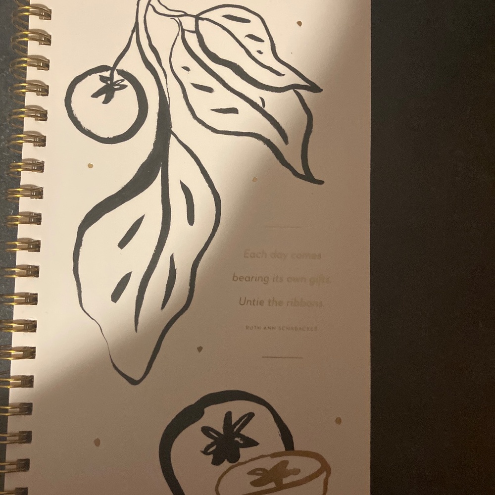 Weekly Plannly Nwot